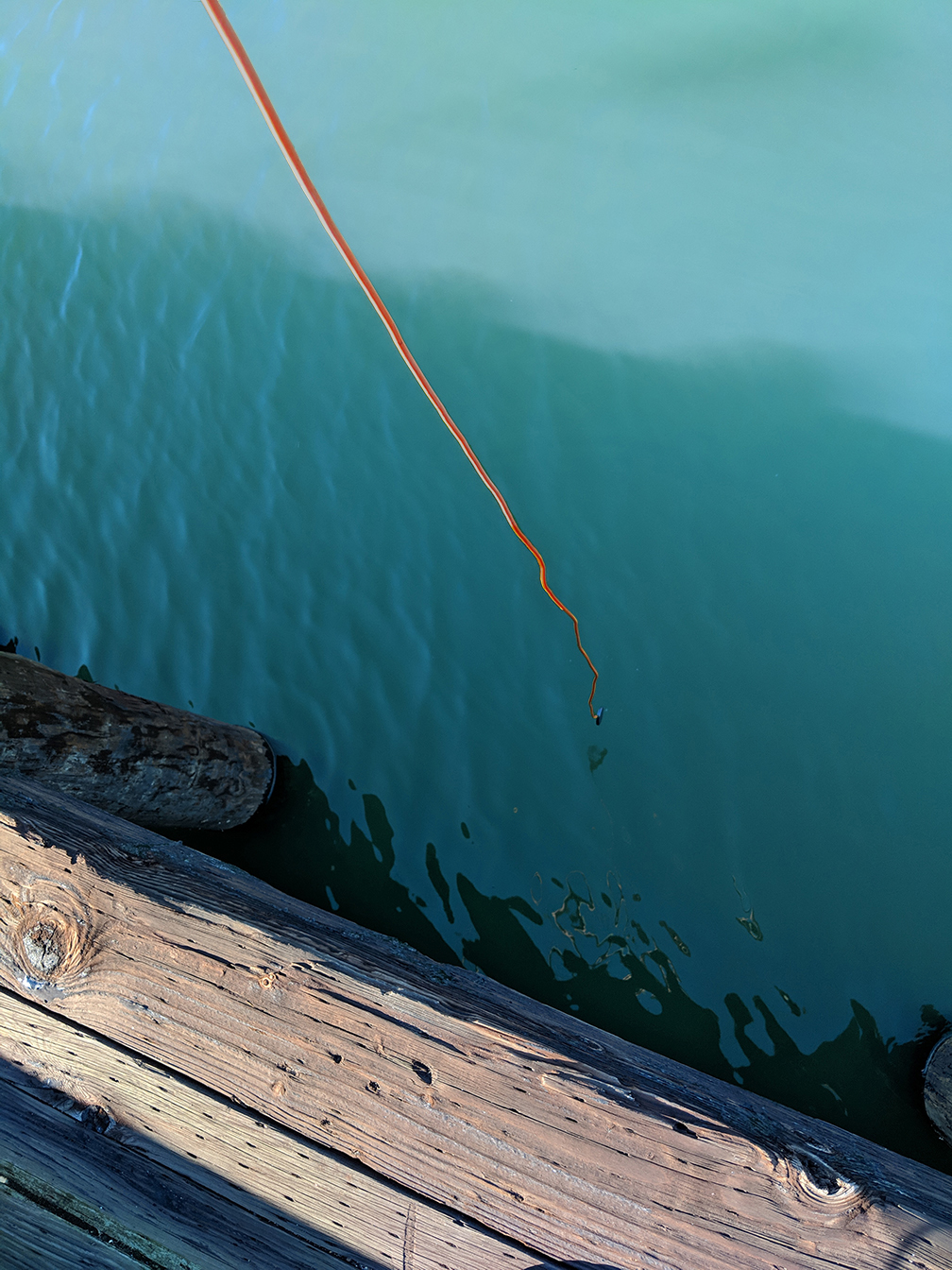 the hydrophone dropped into the water